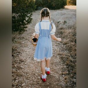 Dorothy Wizard of Oz Blue and White Gingham Cotton Dress with Puff Sleeves 8/10
